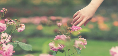 Чертеж себя