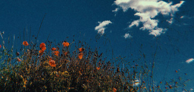 Время, надежда, дождь