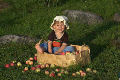 Что должен уметь мой ребенок:  нормы развития от детского психолога