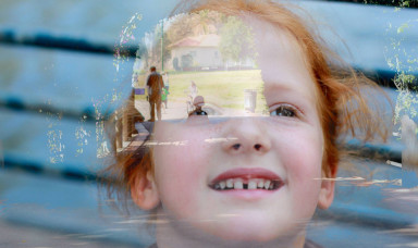 Бабочка в короне