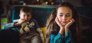 Вино по цене свиньи