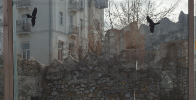 Сон в зарослях алоэ