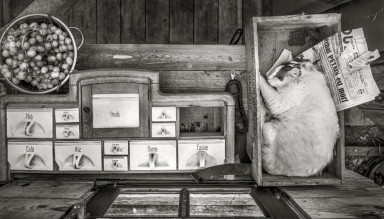 6 привычек, которые помогут поддерживать порядок в доме