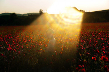 Держитесь, Золушки!