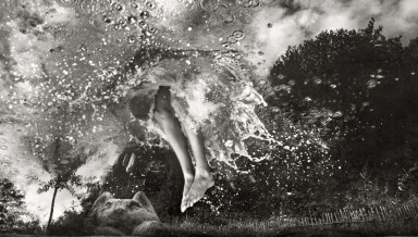 Головастики