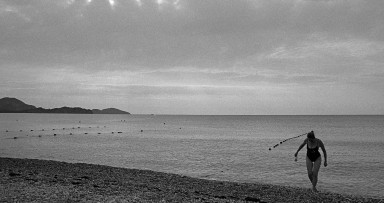 Кости летающей рыбы