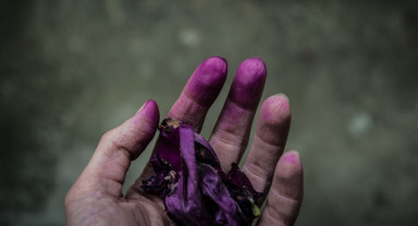 Раны из детства