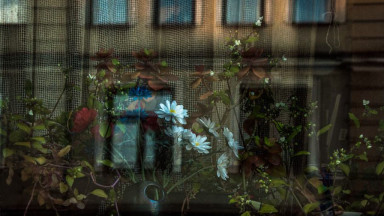 Итоги недели: о разводе, о жизни без платьев, о женщине, не похожей не других