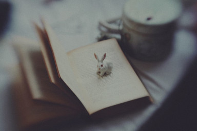 Пусть будет сюрприз