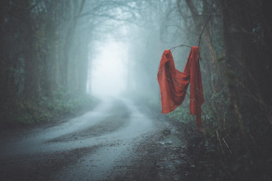 В лесу. В тишине. Одна