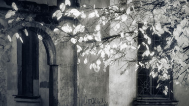 Итоги недели: про родительские ошибки, школьную форму и трудности материнства