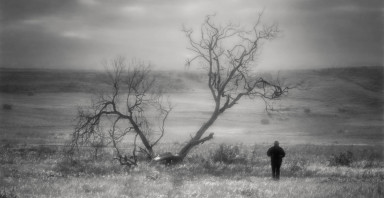 Император своей жизни