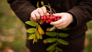 Марафон осенних поделок