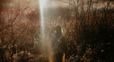 Итоги недели: о том, почему папы должны помогать мамам