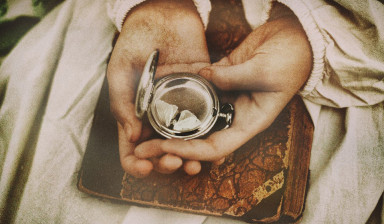 Брайдзилла, или Немного о свадьбе