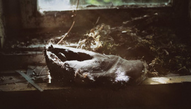 «Где мой ремень?», или Родительское бессилие