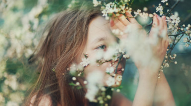 Люкке 2: псы и бабочки