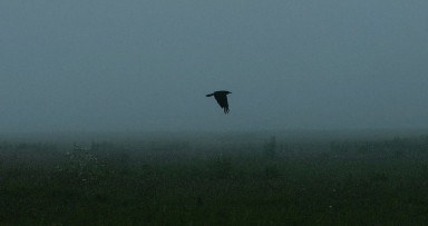 Как говорить с ребенком о смерти