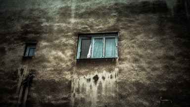 Жил-был пес