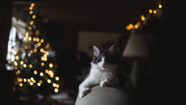 Будем здоровы