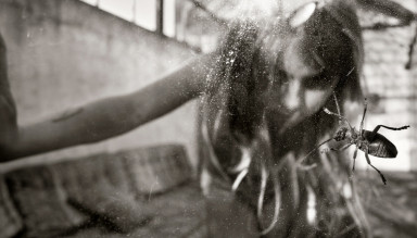 Люкке-7: почти не наше дело