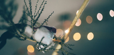 Фонарики, шары, гирлянды и другие