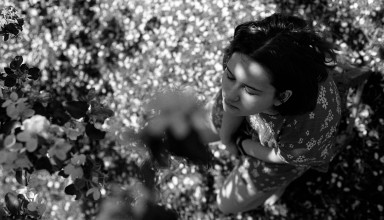 Может, ну их, эти колючки?