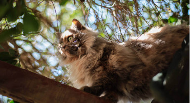 Грамотный таргетинг