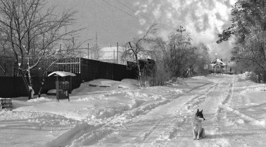 Там, где мое сердце