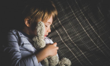 Пудель в витрине