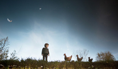 Овчёнок или баранёнок — вот в чем вопрос...