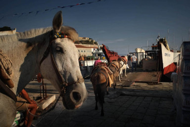 Тележка на море