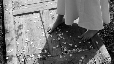 Люкке-12: какая бывает дружба