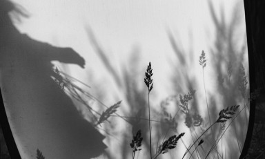 Внутренний ребенок