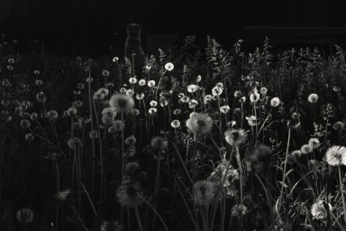 Не лишнее объятие