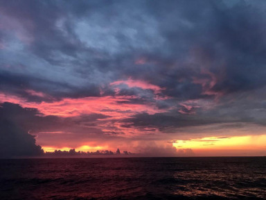 Письмо новому лучшему другу