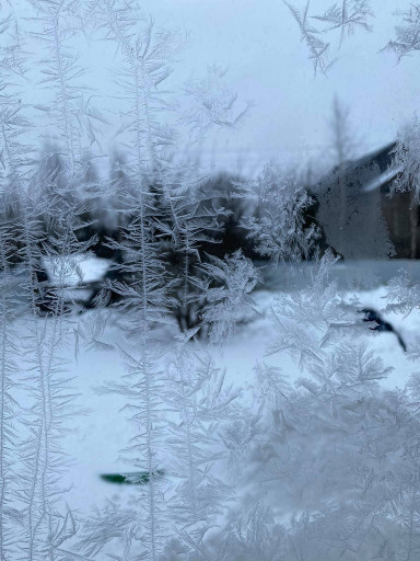 Зеленый, который желтый