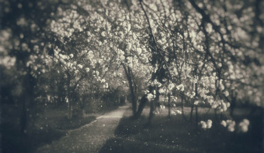 Не будем жалеть свои сердца