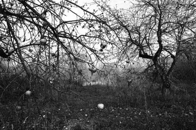 Люкке-17: Люк и Люкке