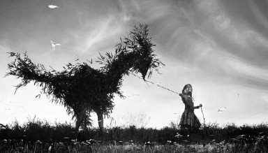 Тупорылый крокодил и другие звери