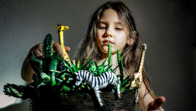 Люкке-18: слон в коридоре