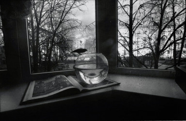 Как быть с несбывшимися мечтами родителей?