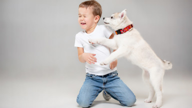 Когда и почему семье с детьми стоит завести собаку