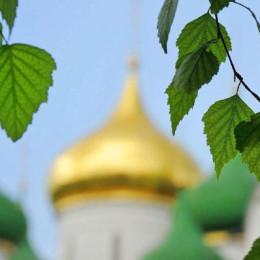 Почему на Троицу церковь украшают березовыми ветками?