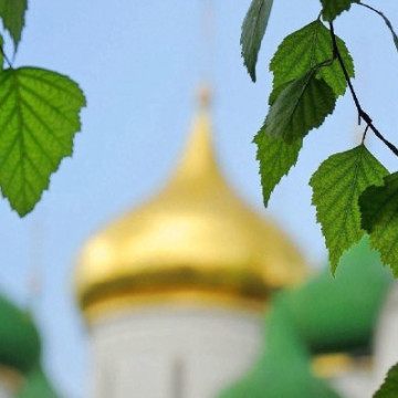 Почему на Троицу церковь украшают березовыми ветками?