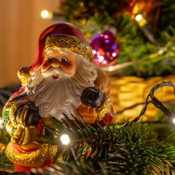 Проверьте свои знания: тест о символах Нового года и их истории